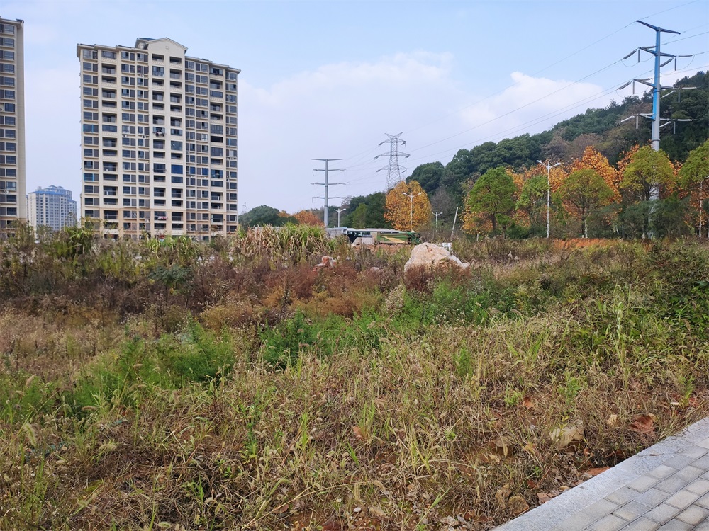 濂溪区成功拍出一宗20.3025亩城镇住宅用地成交楼面价2391元/㎡