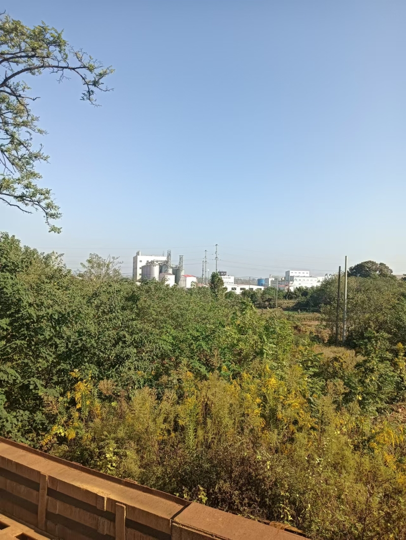 DGB2024012现场图